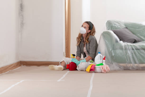 Reliable Mold Inspection contractor in Onekama, MI by WQB Mold Removal